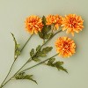 25" Orange Daisy Artificial Stem - Hearth & Hand™ with Magnolia - 3 of 3