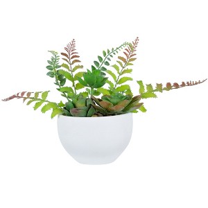 Northlight 11.5" Mixed Succulent and Fern Artificial Potted Plant - Green/White - 1 of 4