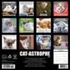 Willow Creek Press Cat-astrophe 2025 Wall Calendar: Monthly 12x12" Blue Paper, All Ages, Sewn Binding - 2 of 4