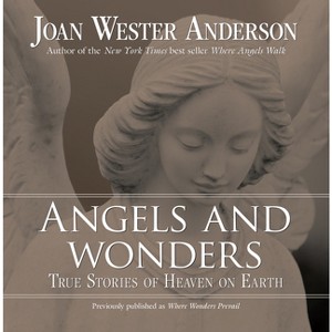 Angels and Wonders - by  Joan Wester Anderson (Paperback) - 1 of 1