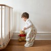 HALO Innovations Microfleece Sleepsack Wearable Blanket - Sunshine Winnie - 4 of 4