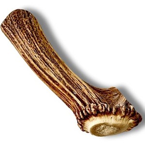 WhiteTail Naturals XL Elk Antler Dog Chew – 1-Pack for Large Breeds – Long-Lasting, Natural, Odor-Free & USA Made - 1 of 4