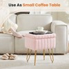 Okak Exquisite Storage Ottoman Bench Coffee Table, Vanity Stool Chair, Soft Upholstered Makeup Footrest for Couch Living Room Bedroom Entrance, Pink - 2 of 4