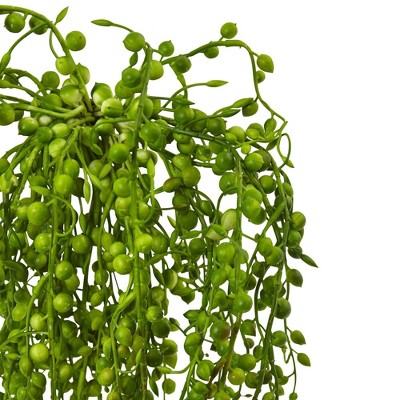 Senecio Green Cascading Artificial Succulent Set of 3