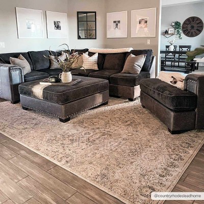 Hauteloom Parkerfield Black and Beige Medium Pile Area Rug