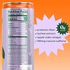 Bloom Variety Pack Energy Drink - 12pk/12 fl oz Cans - 4 of 4