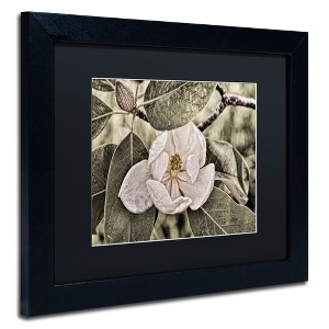 Trademark Fine Art -Lois Bryan 'White Magnolia' Matted Framed Art - 1 of 4