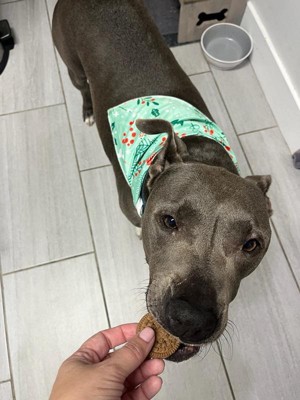 Guest review image 4 of 4, zoom in