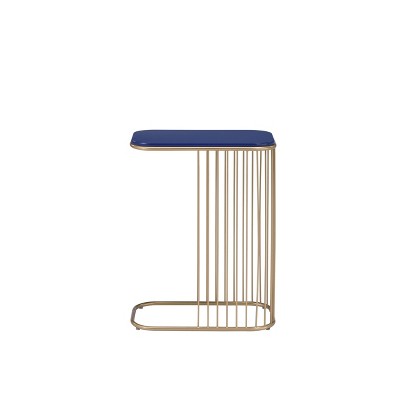 Blue and Gold Rectangular Metal Accent Table with Storage