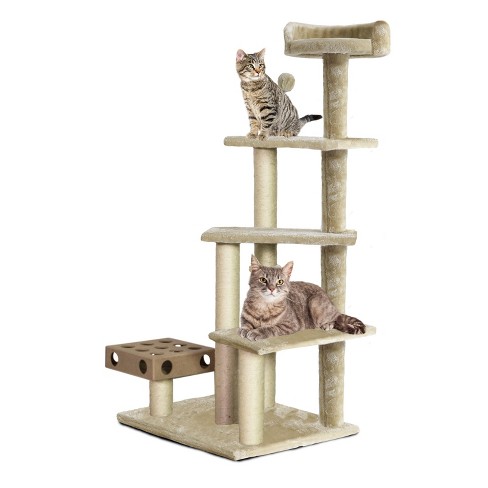 Iq box hotsell cat tree