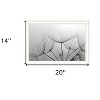 HomeRoots Love is a Delicate Flower White Framed Print Wall Art - 3 of 4