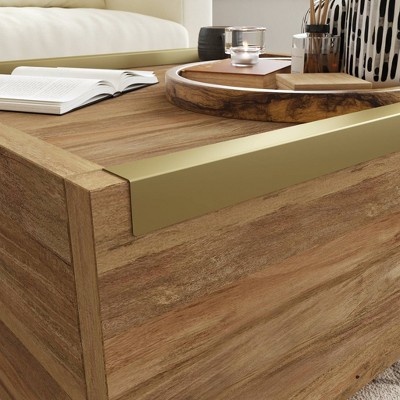 Sindoori Mango Modern Square Coffee Table with Storage