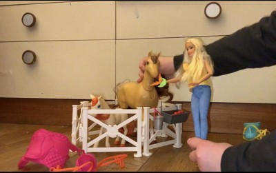 Barbie hugs and store horses