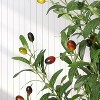Acekool Artificial Olive Tree with White Planter and Fruit, 5ft/6ft/7ft Indoor Faux Tree, Realistic 1 or 2-Pack for Home or Porch - 3 of 4