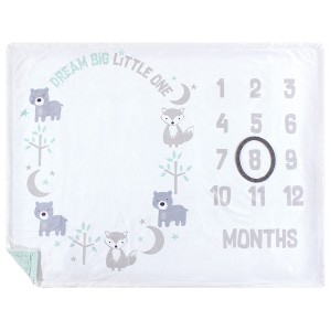 Hudson Baby Infant Plush Holiday and Milestone Blanket, Dream Big, One Size - 1 of 1
