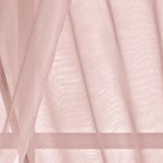 pale rose