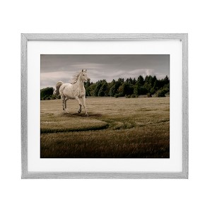 Stupell Industries Galloping Through Field Horse Framed Print Under Glass - 1 of 4