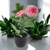 Unique Bargains Artificial Plants Two-Headed Lotus Bonsai Plastic 2.95"x2.95"x9.06" 1 Pcs - 2 of 4