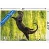 Trends International The Comedy Wildlife Photography Awards: Otter Kwek - Ballerina Unframed Wall Poster Prints - 3 of 4