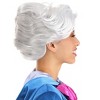 HalloweenCostumes.com One Size Fits Most  Women  Disney's Cinderella Fairy Godmother Wig, Gray - 3 of 4