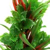 Unique Bargains Plastic Aquarium Terrarium Tank Habitat Decorative Plant 1 Pc Red Green - image 4 of 4