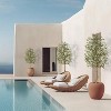 Faux Olive Tree 6FT, Fake Silk Plant for Living Room Decor, Indoor Fake Potted Tree with Green Leaves and Big Fruits - 3 of 4