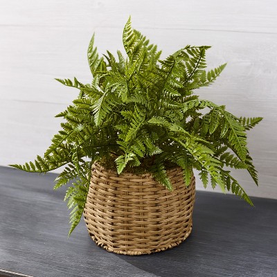 Lakeside Artificial Fern in Woven Planter Basket - Faux Indoor House Plant