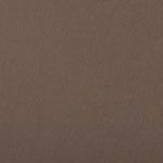coffee color