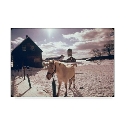 22" x 32" Family Farm by American Eyes - Trademark Fine Art