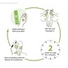 Plantur 39 Phyto-Caffeine Shampoo for Fine, Brittle Hair - 4 of 4