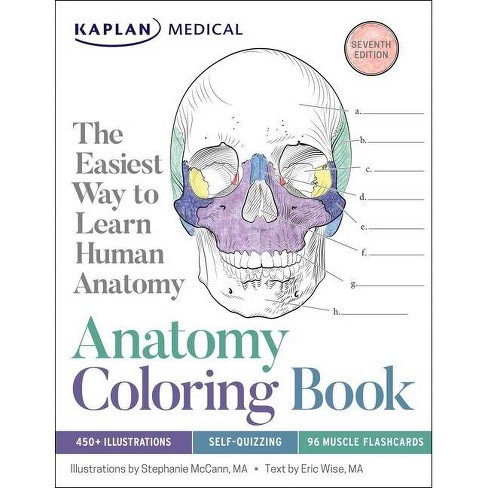 Download Anatomy Coloring Book 7th Edition By Stephanie Mccann Eric Wise Paperback Target