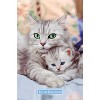Trends International Keith Kimberlin - Momma and Kitten Unframed Wall Poster Prints - 4 of 4