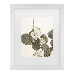 Trademark Fine Art - Shot by Clint Mexi Catus 02 Matted Framed Art - 1 of 4