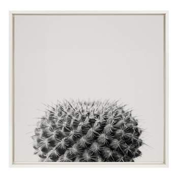 22" x 22" Sylvie Haze Succulent Cactus Short Framed Wall Canvas White - Kate & Laurel All Things Decor