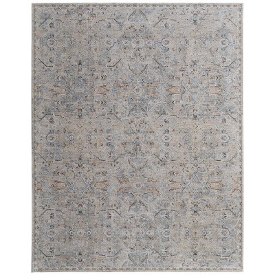 Pasha Transitional Distressed Area Rug