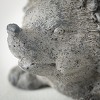 6.75"H Sullivans Charcoal Hedgehog Cast Planter, Gray - 2 of 3