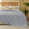 Bedsure Blanket for Bed - Super Soft, Cozy Blankets for Women, Cute Fleece - 2 of 4