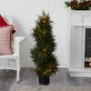 Nearly Natural 43-in Cedar Spiral Topiary with Lights - 2 of 3