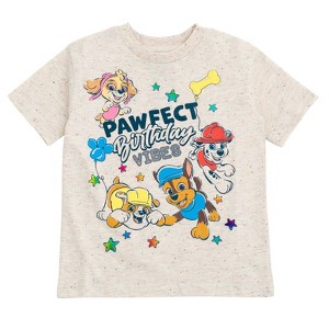 PAW Patrol Birthday T-Shirt Toddler - 1 of 4