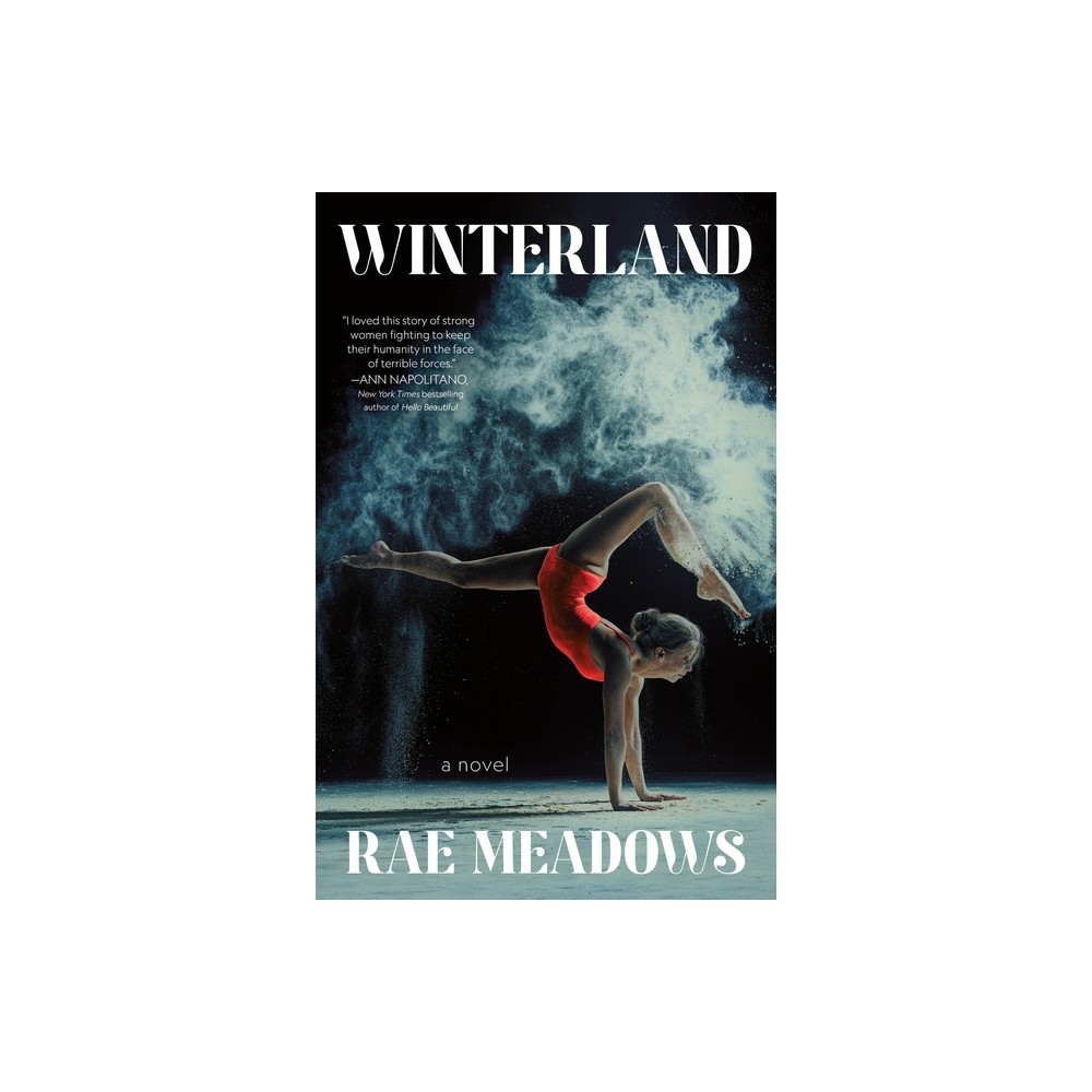 Winterland - by Rae Meadows (Paperback)