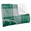 Illinois Wesleyan University Campus Plaid Spirit Silky Touch Super Soft Throw Blanket 50x60 - 3 of 4