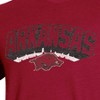 NCAA Arkansas Razorbacks Men's Biblend T-Shirt - 3 of 3