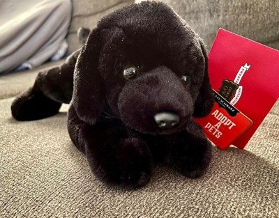 Fao Schwarz Labrador Cuddly Ultra-soft Fur 15 Stuffed Animal : Target