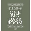 Beetlejuice My Whole Life Is A Dark Room Adult Long Sleeve Hoodie - 2 of 2