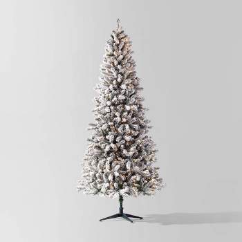9' Pre-lit Flocked Full Alberta Spruce Artificial Christmas Tree Clear Lights - Wondershop™