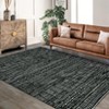 Coolmee Area Rug Boho Textured Design Living Room Non Slip Low-Pile Soft Bedroom Rug Stain Resistant Playroom Carpet - 2 of 4
