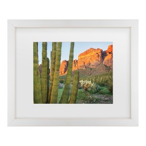 Trademark Fine Art - Alan Majchrowicz Organ Pipe Cactus National Monument Arizona Matted Framed Art - 1 of 4