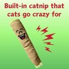 Angel Sar Cute Stuffed Blunt Cat Toy with Catnip, Funny 420 Novelty Plush for Cats, Weed-Themed Play Toy & Photo Prop for Pet Owners - 3 of 4