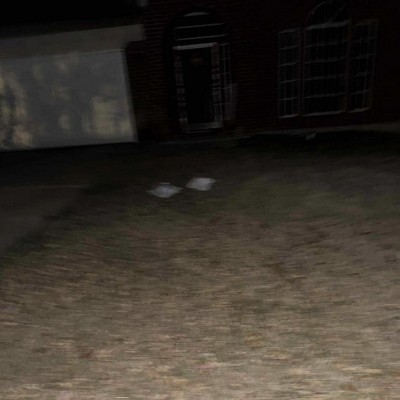 Guest review image 1 of 1, zoom in