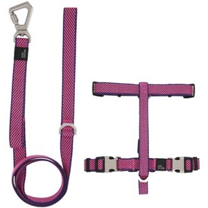 Pet Life Escapade Outdoor Series 2-in-1 Convertible Dog Leash and Harness, LG, Blue - 1 of 1